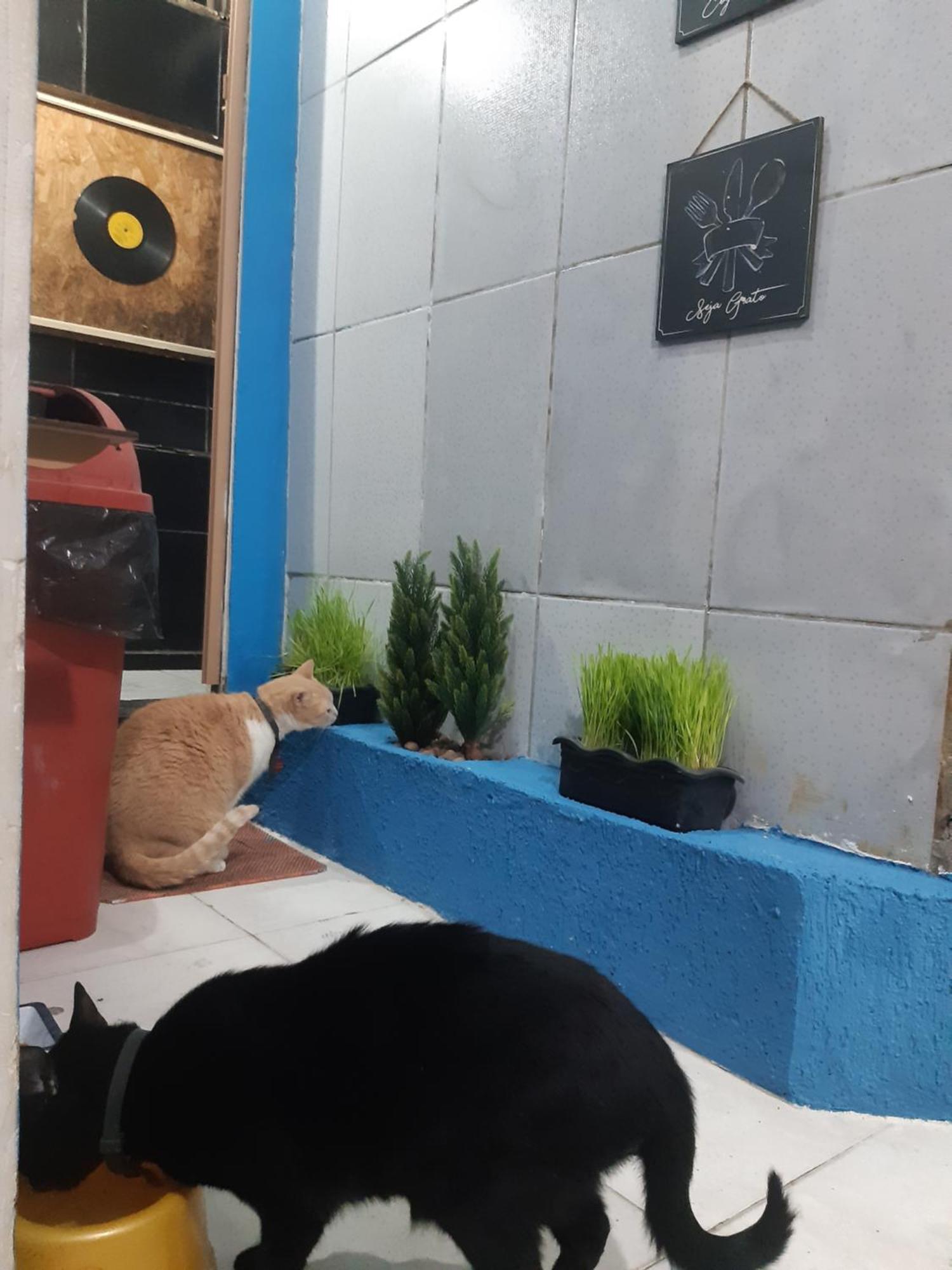 Sapucali Privative Hostel Rio de Janeiro Esterno foto