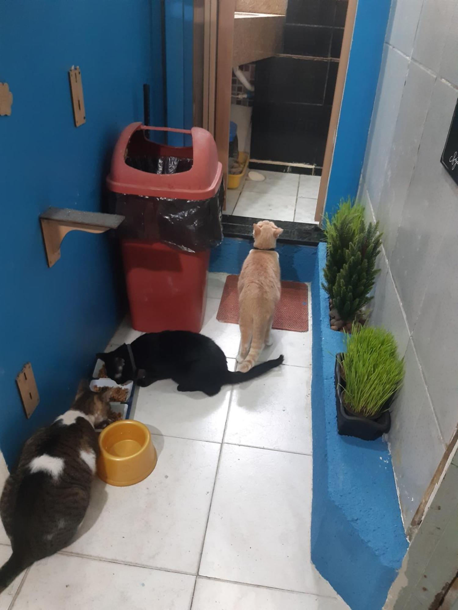 Sapucali Privative Hostel Rio de Janeiro Esterno foto
